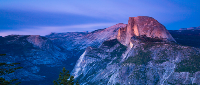 Send Me On Vacation Shares Vision